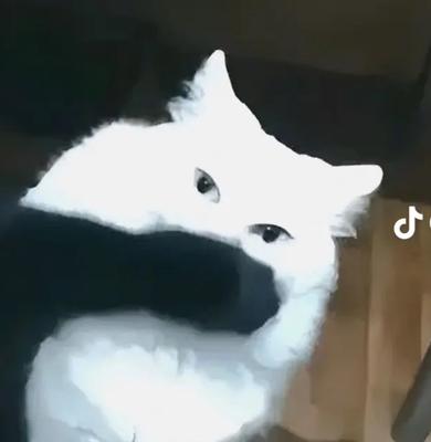 Zoe